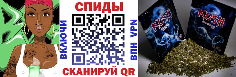 KRAKEN   Олонец  Бутират BDO 