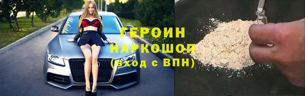 хмурый Аркадак