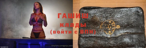 хмурый Аркадак