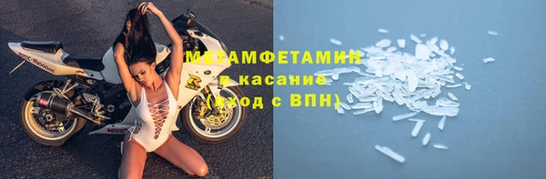 хмурый Аркадак