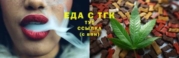хмурый Аркадак