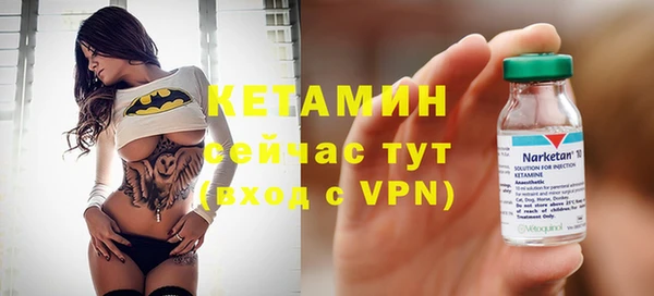 хмурый Аркадак