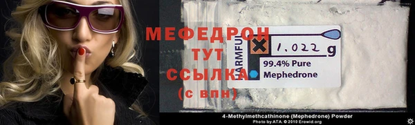 хмурый Аркадак