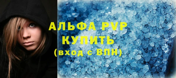 хмурый Аркадак
