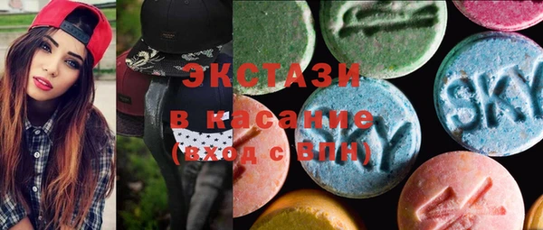 хмурый Аркадак