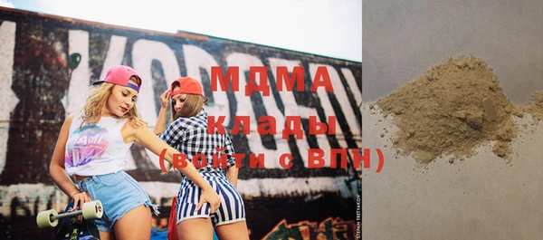 хмурый Аркадак